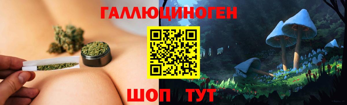 Псилоцибиновые грибы GOLDEN TEACHER  Вход с VPN  закладки  Краснокаменск 